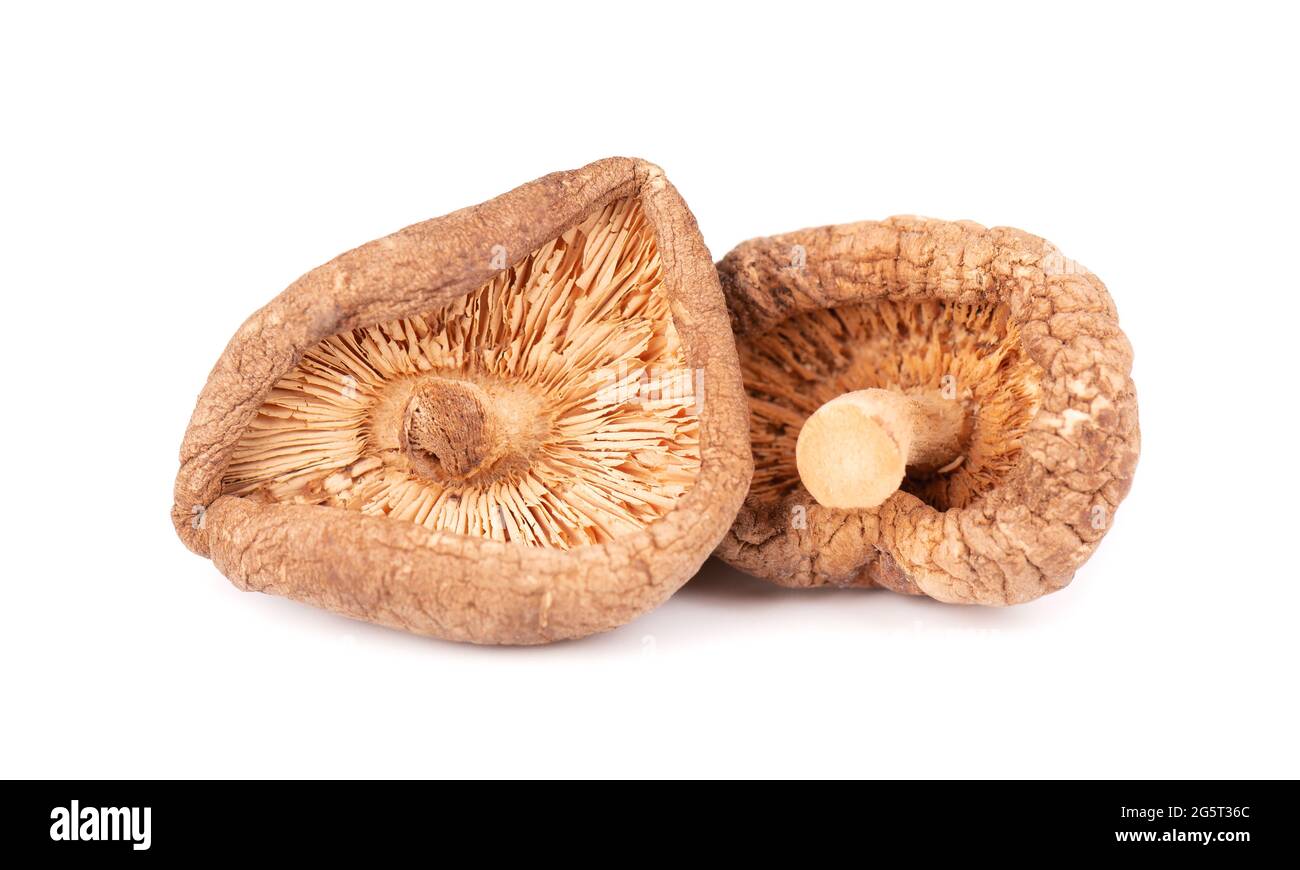 Dried shiitake mushrooms, isolated on white background. Japanese forest