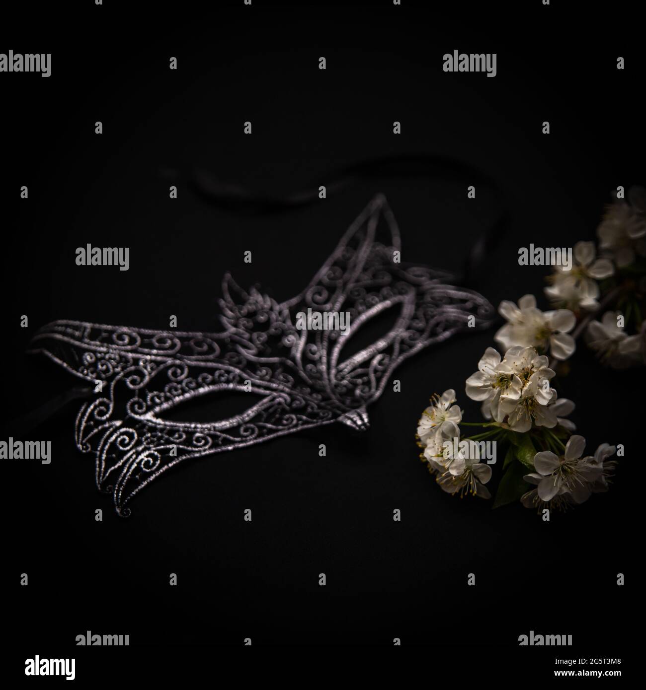 Women's openwork black mask and a sprig of flowers on a black background. Stock Photo