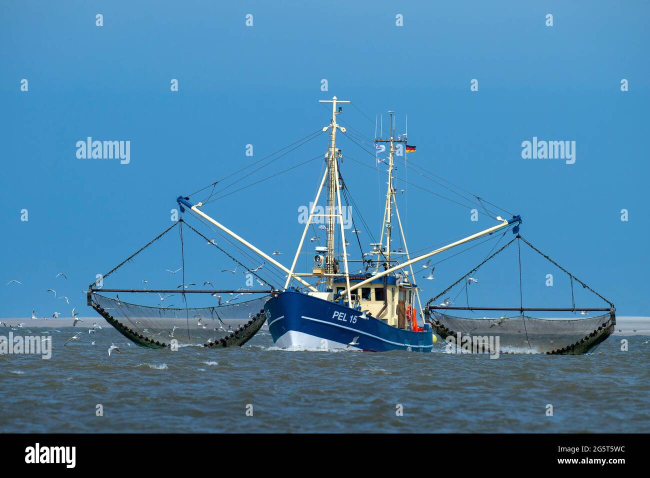 shrimper at the wadden sea, Germany, Schleswig-Holstein, Pellworm Stock Photo