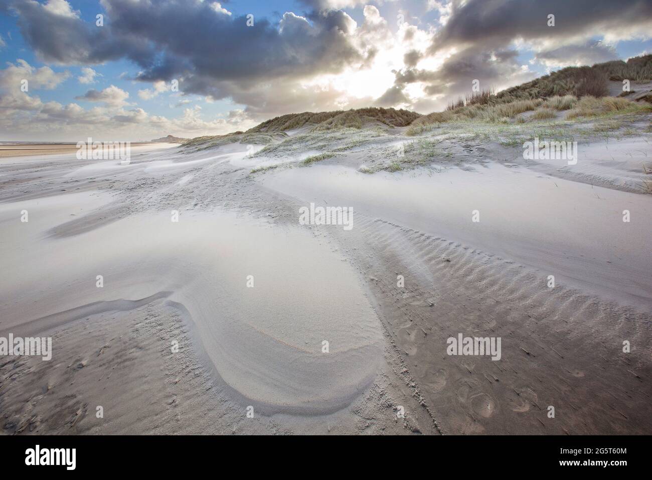 sand storm in the Sint-Laureinsduinen, Belgium, West Flanders, Middelkerke, Sint-Laureinsduinen Stock Photo