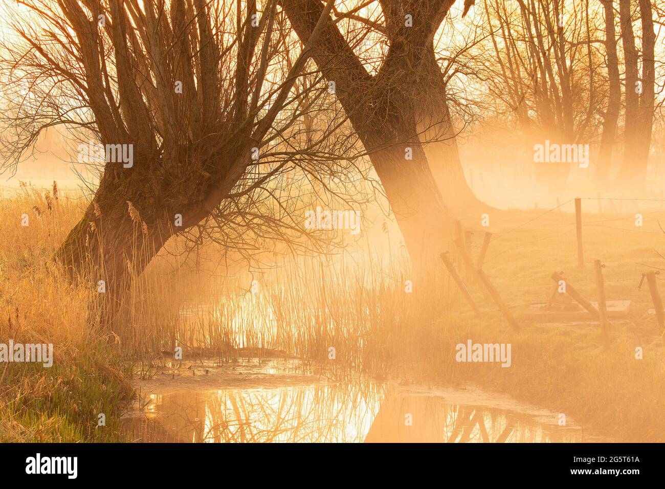 morning in the valley of the Oude kale, Belgium, East Flanders, Oude Kale, Merendree Stock Photo