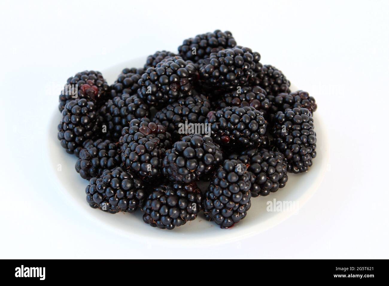 Illustration Of Rubus Fruticosus (blackberry, Brambleberry), Fruit