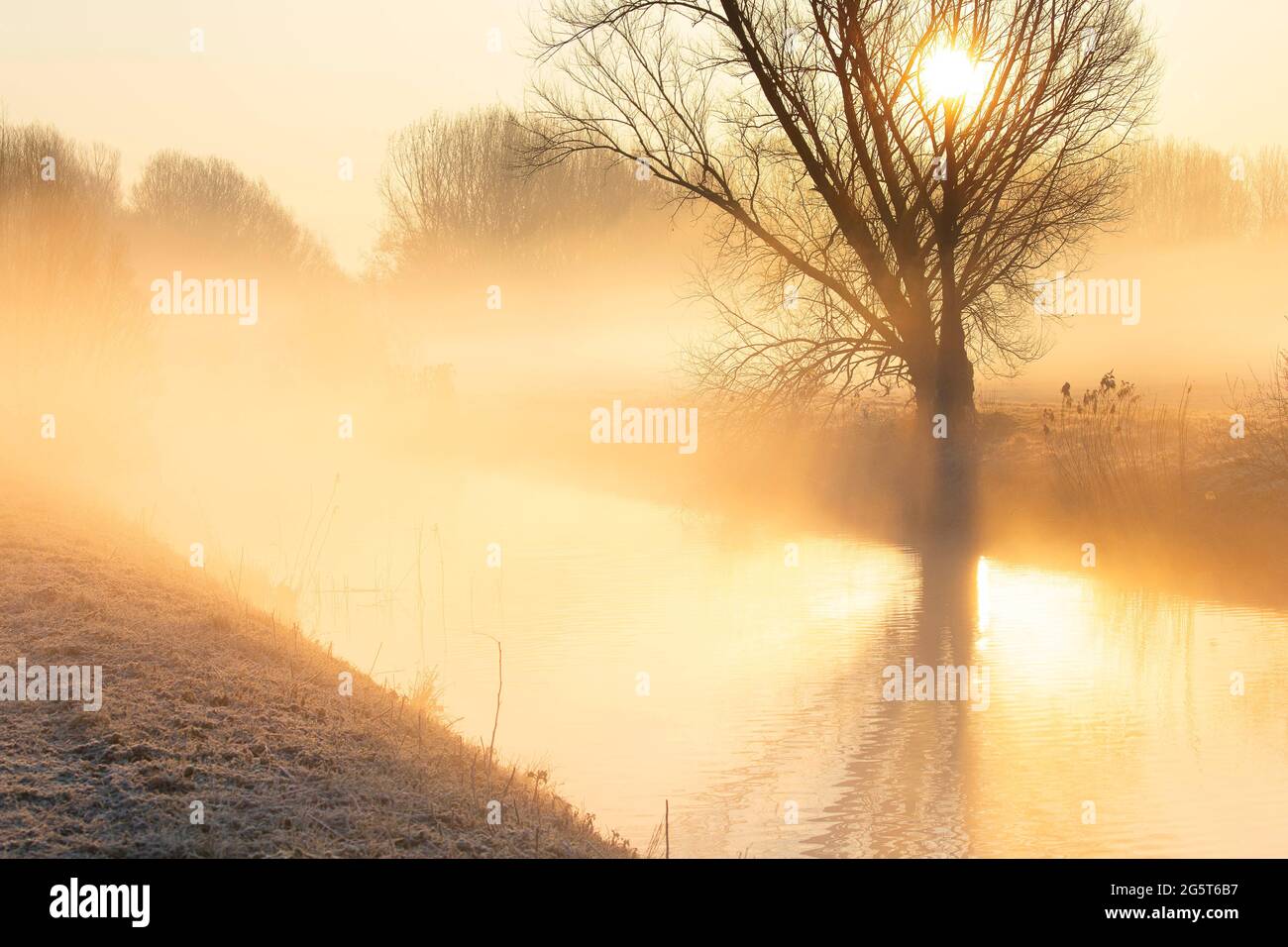 morning in de Drie Mussen nature area, Belgium, West Flanders, De Drie Mussen, Diksmuide Stock Photo