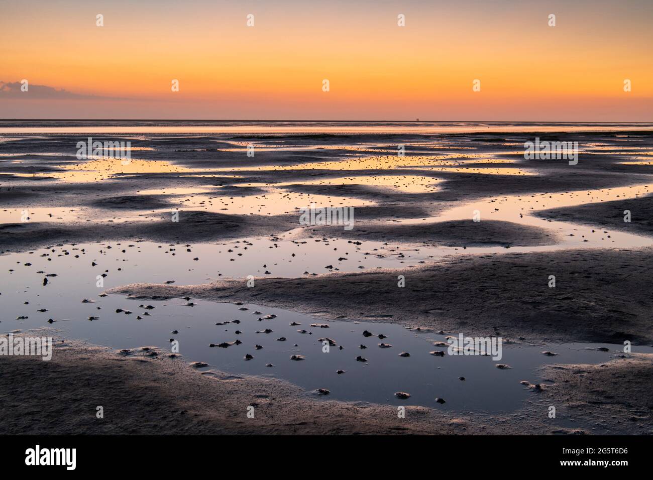 wadden sea - tideway at sunset, Germany, Schleswig-Holstein, Westerhever Stock Photo
