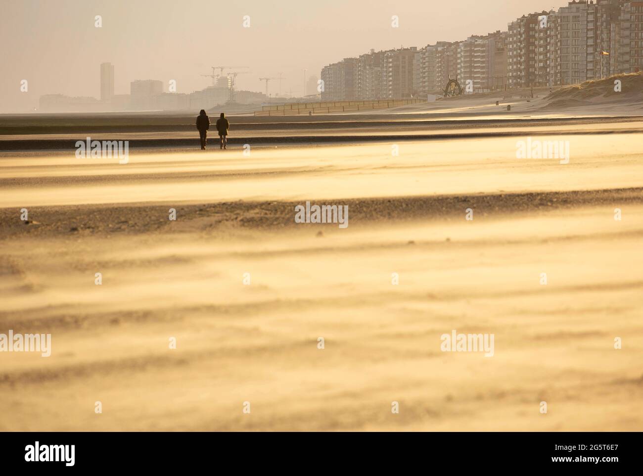 drifting sand on the beach, Belgium, West Flanders, Middelkerke, Sint-Laureinsduinen Stock Photo