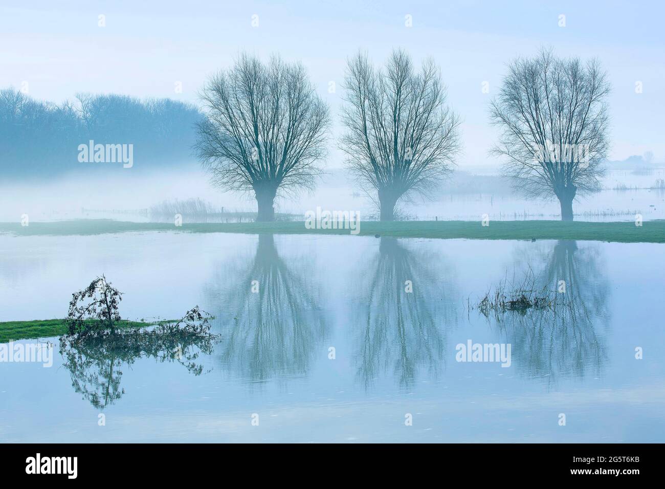 flooding in the IJzervallei; valley of the Yzer, Belgium, West Flanders, IJzerbroeken Stock Photo