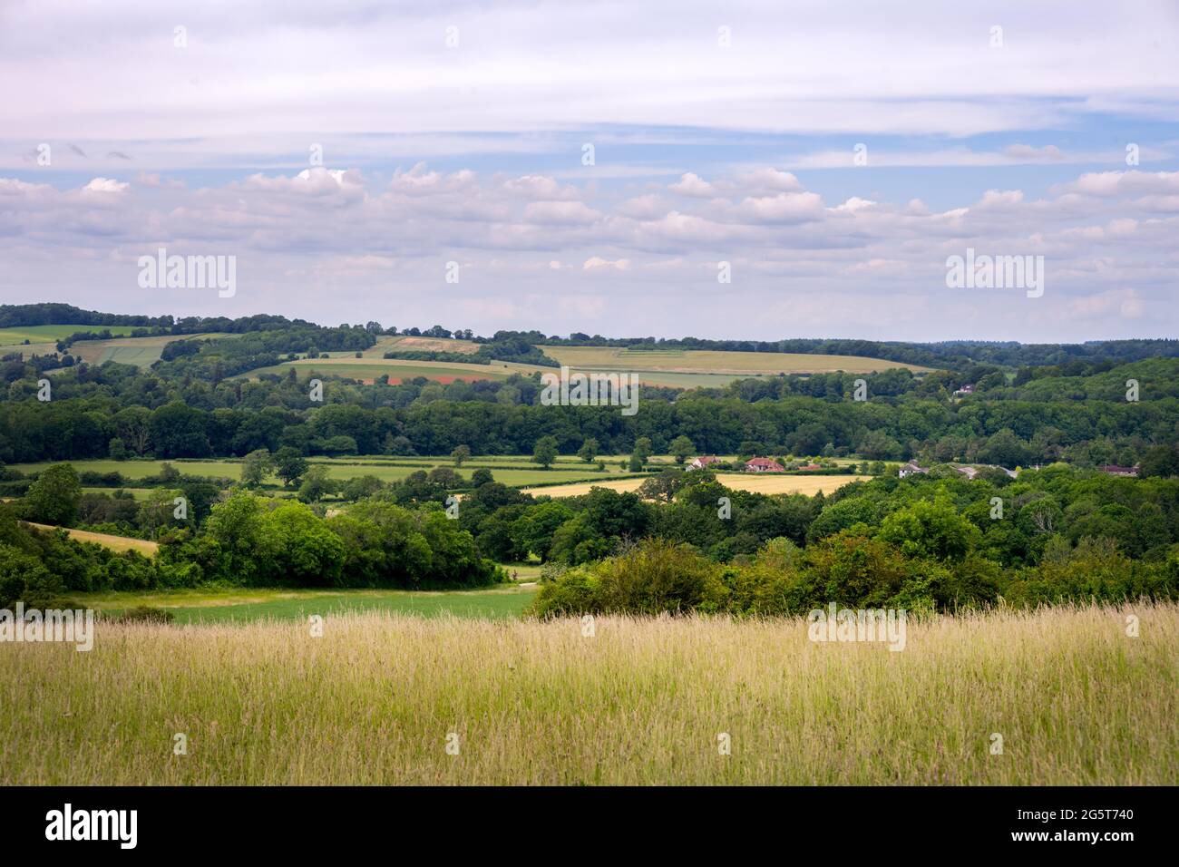 The gentle hills of Hampshire from the Monarch's Way, near Old