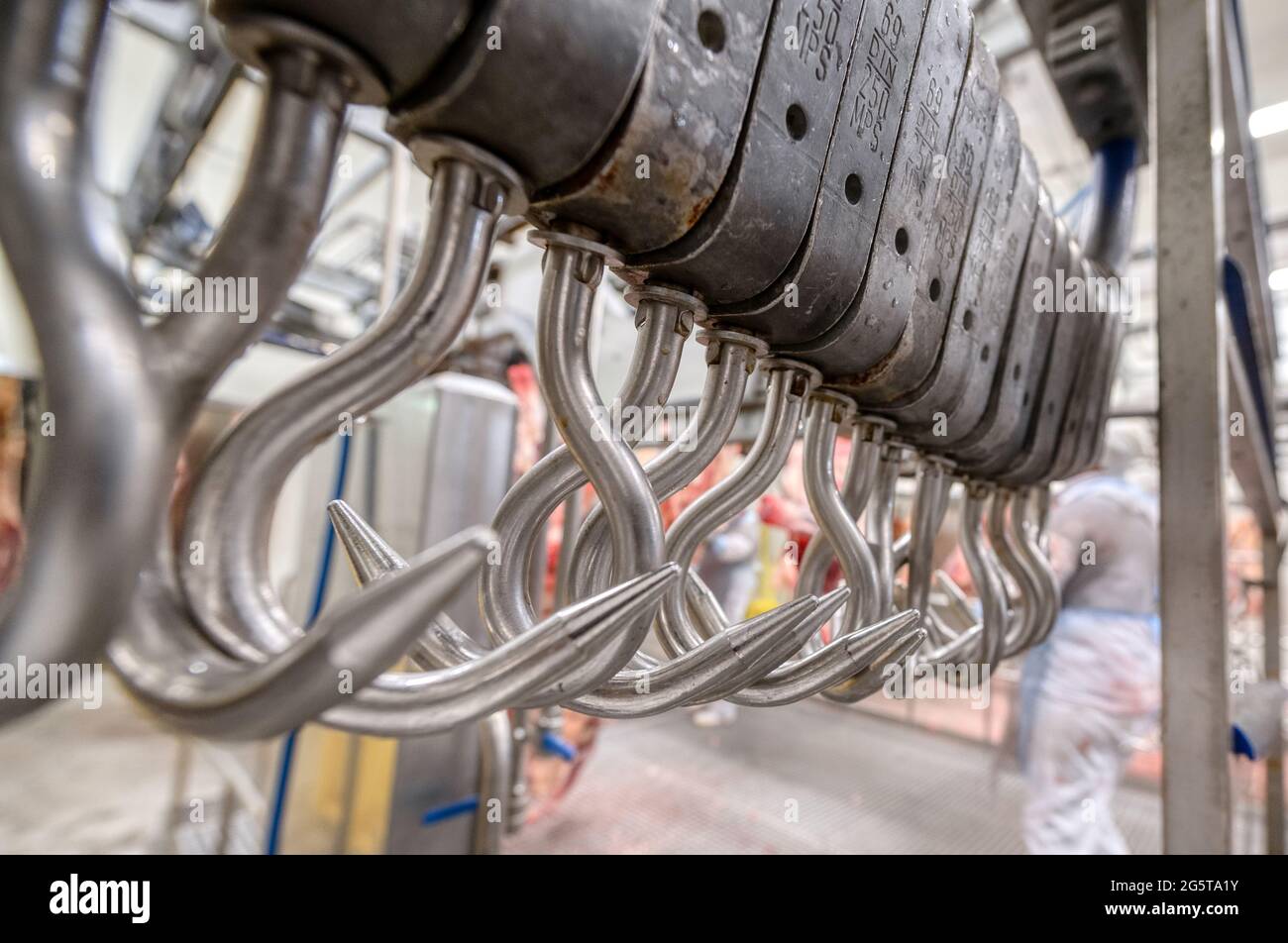 Metal hooks for hanging beef carcasses Stock Photo Alamy