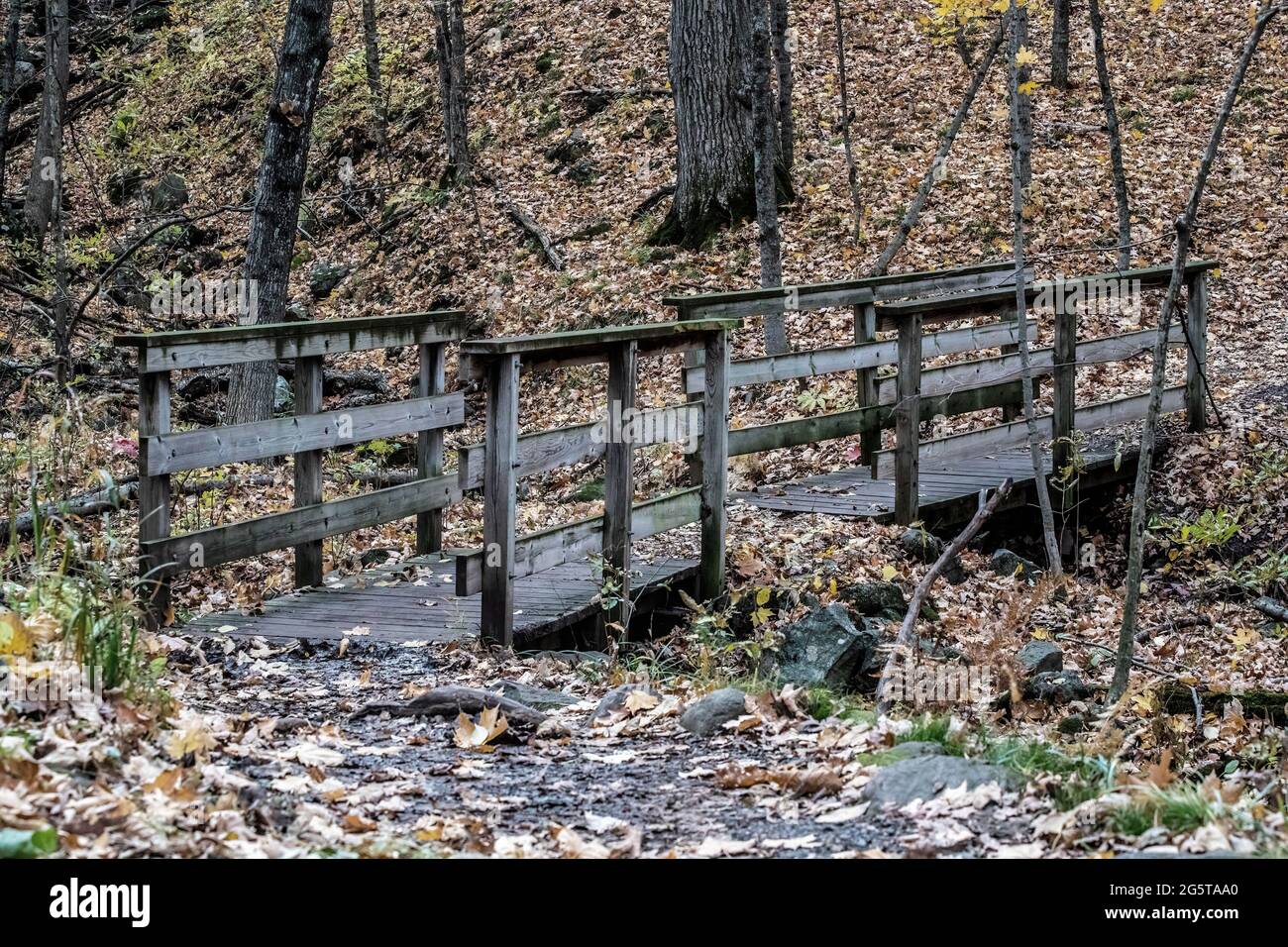Wooden bridge along the Horizon Rock Trail in Interstate Park, St