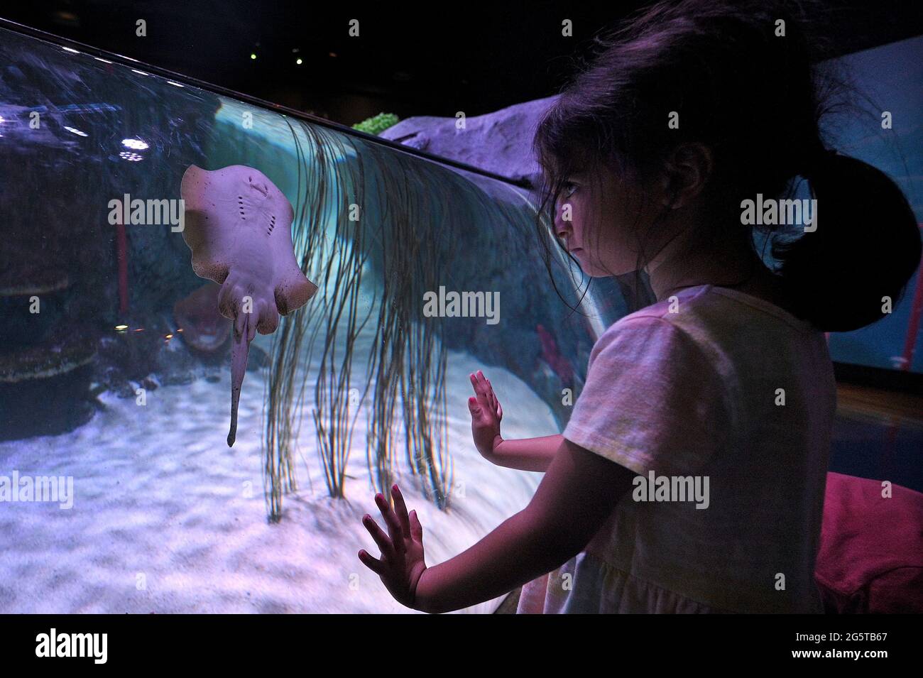 East Rutherford, USA. 29th June, 2021. Sofia, 3, looks at a young