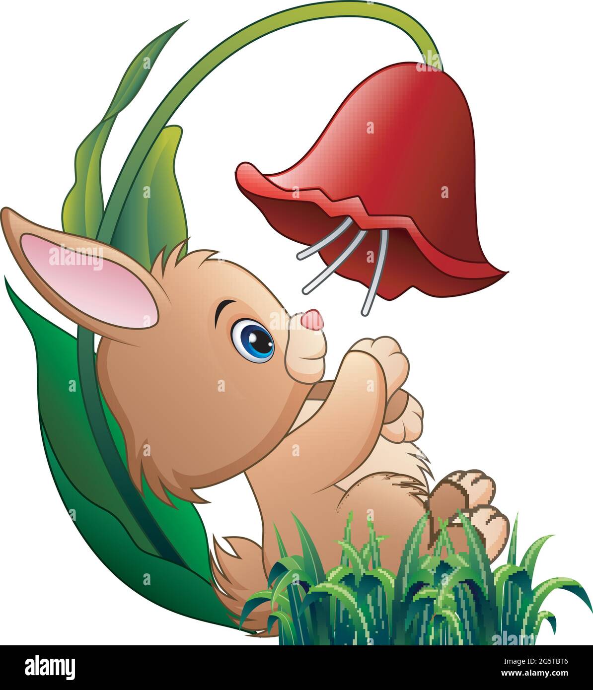 Cute little rabbit playing with a flower on white background Stock ...