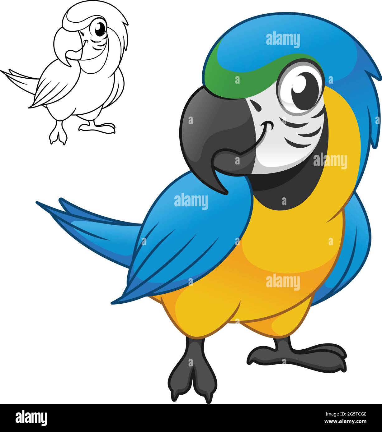 Cute Happy Blue and Gold Macau Parrots Standing with Line Art Drawing,  Animal Birds, Vector Character Illustration, Cartoon Mascot Logo Stock  Vector Image & Art - Alamy