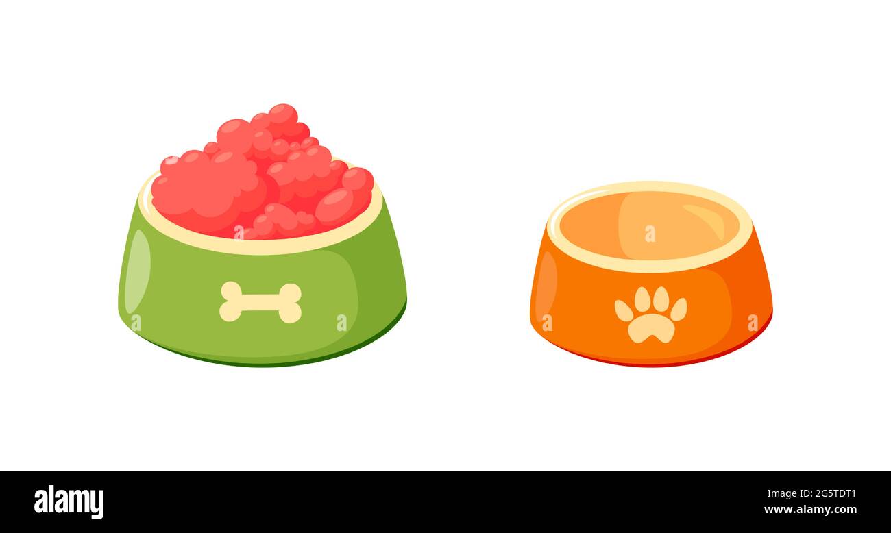 Dog bowls with food. Set bowls for cat or dog for kibbles and