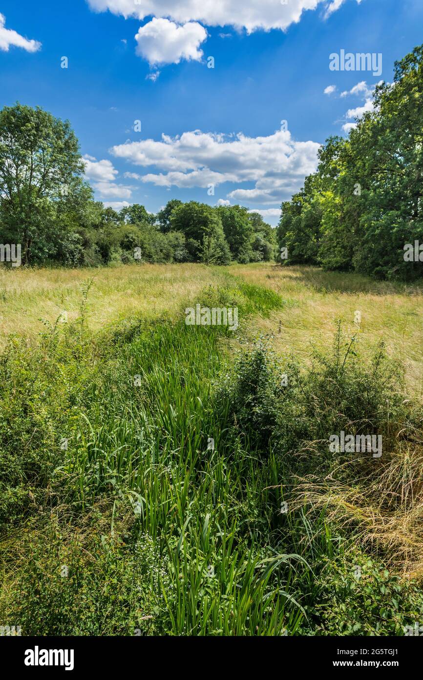 Claise Source of the River Claise, Indre (36), France Stock Photo - Alamy