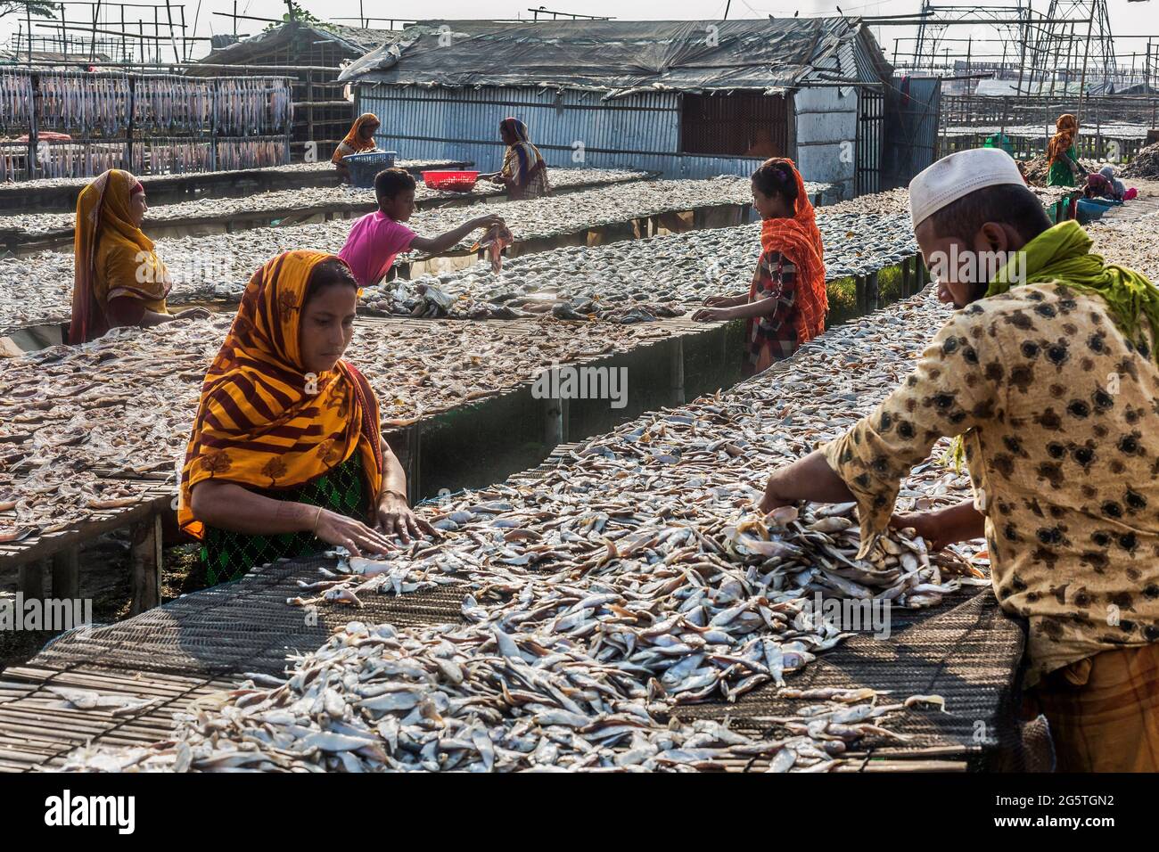 Bangladesh, Chittagong: Dry Fish Field on Karnaphuli River bank, Chittagong, Bangladesh, on 4 December, 2020. Stock Photo