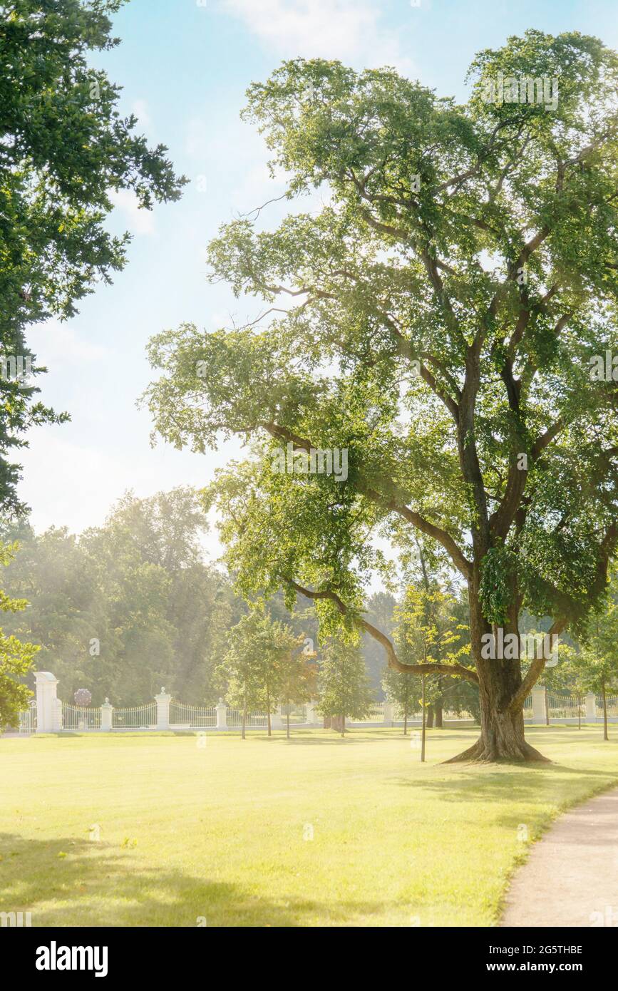 Lawn park park sun hi-res stock photography and images - Alamy