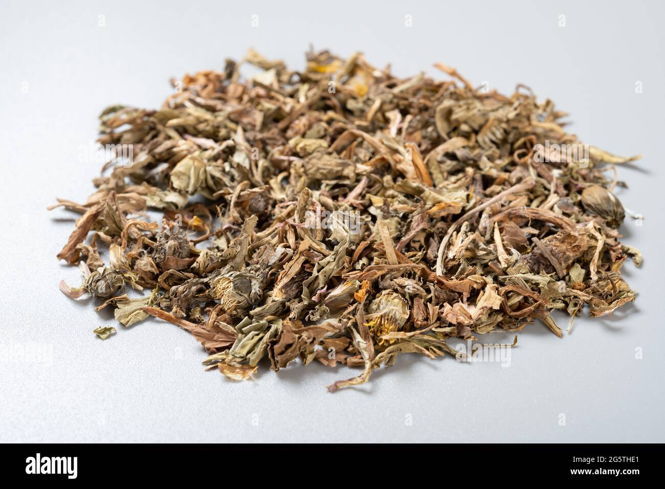 angle view herb PuGongYing or Taraxaci Herba or Mongolian Dandelion Herb Stock Photo