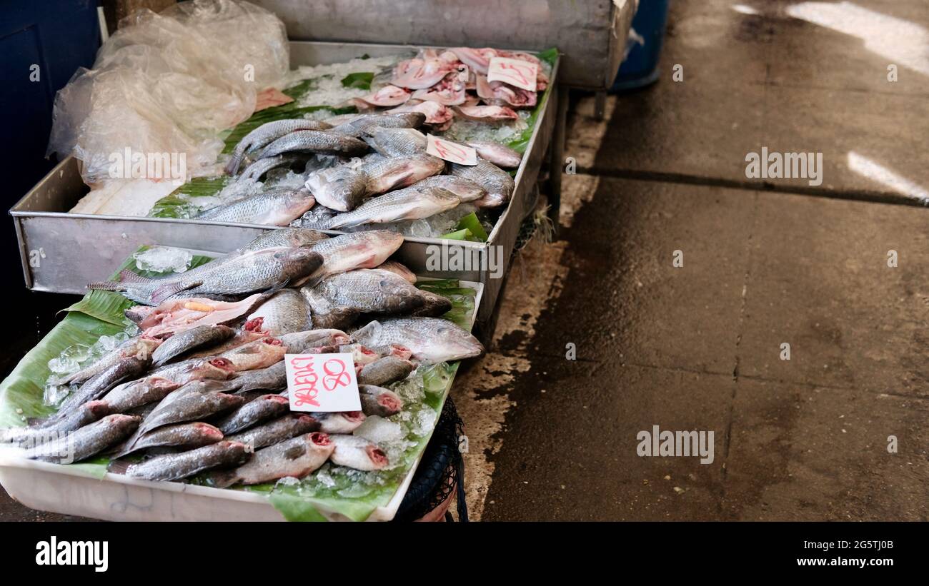 Fresh Fish Klong Toey Market Wholesale Wet Market Bangkok Thailand largest food distribution center in Southeast Asia Stock Photo