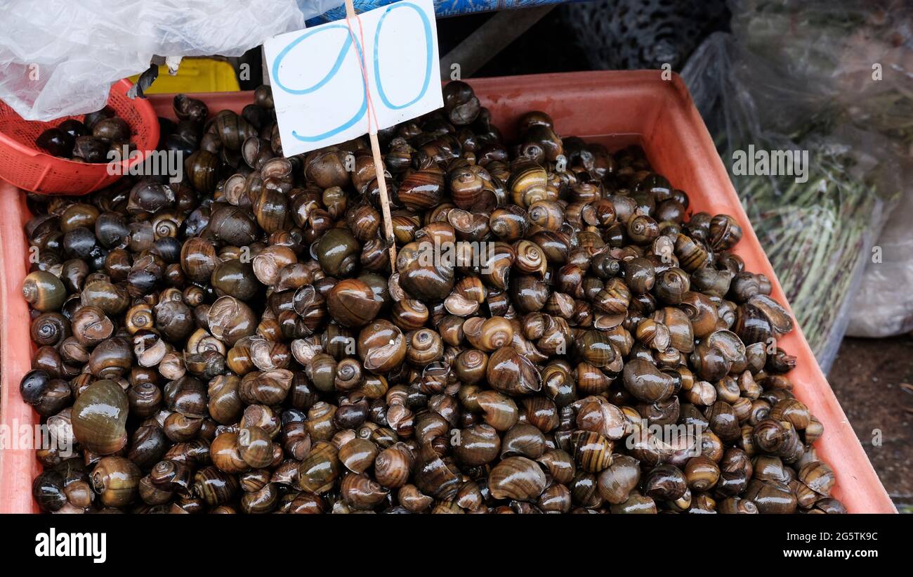 Edible Seeds Chestnuts in Pink Plastic Tray Klong Toey Market Wholesale Wet Market Bangkok Thailand largest food distribution center in Southeast Asia Stock Photo