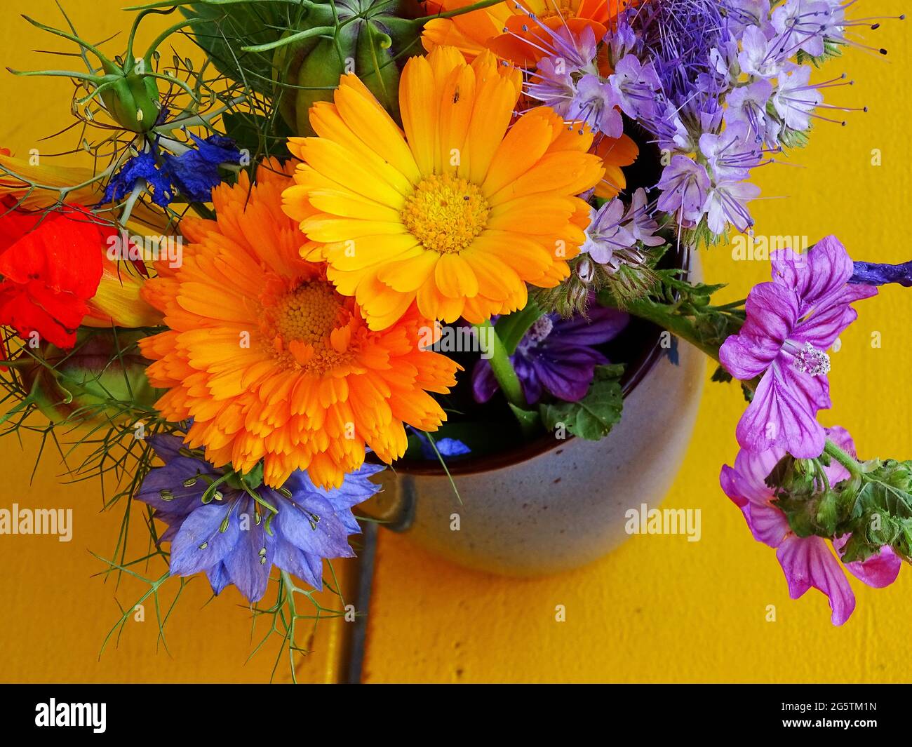 bouquet with flowers from the vegetable garden, on a yellow background Stock Photo