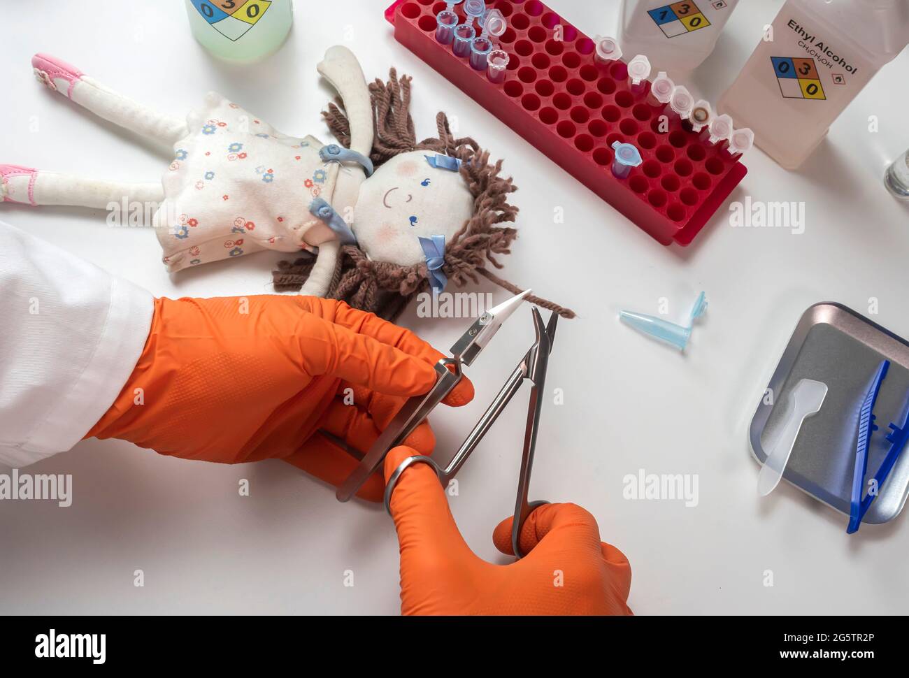 Forensic police extract hair from rag doll implicated in murder at crime lab for DNA analysis, concept image Stock Photo