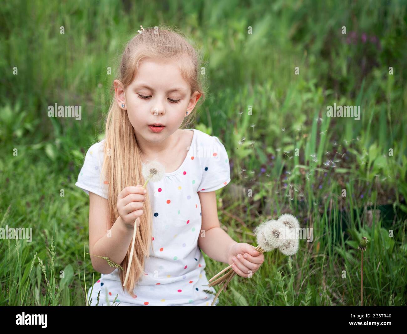 Little girl in a spring garden with white dandelions in her hands Stock ...