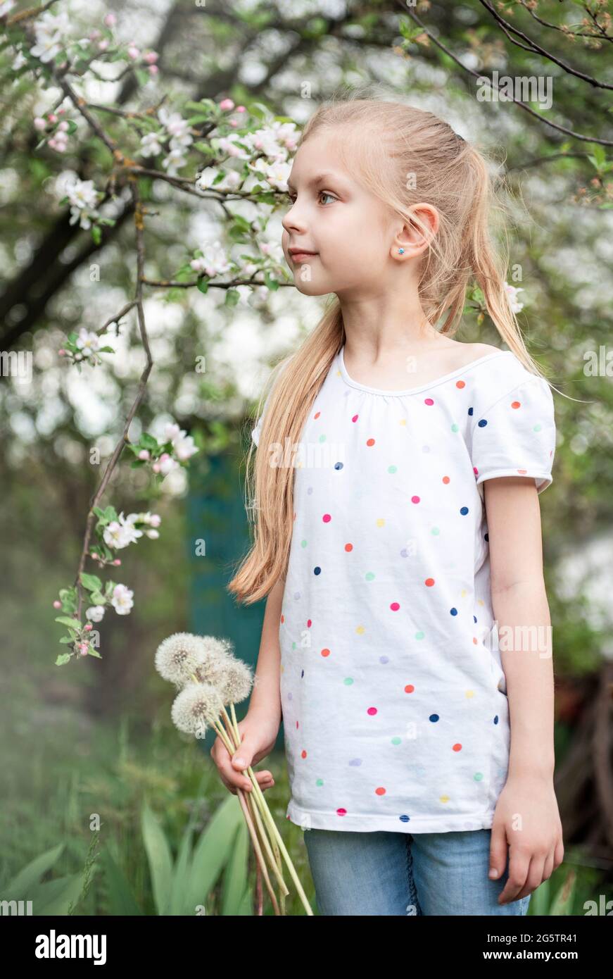 Little girl in a spring garden with white dandelions in her hands Stock ...