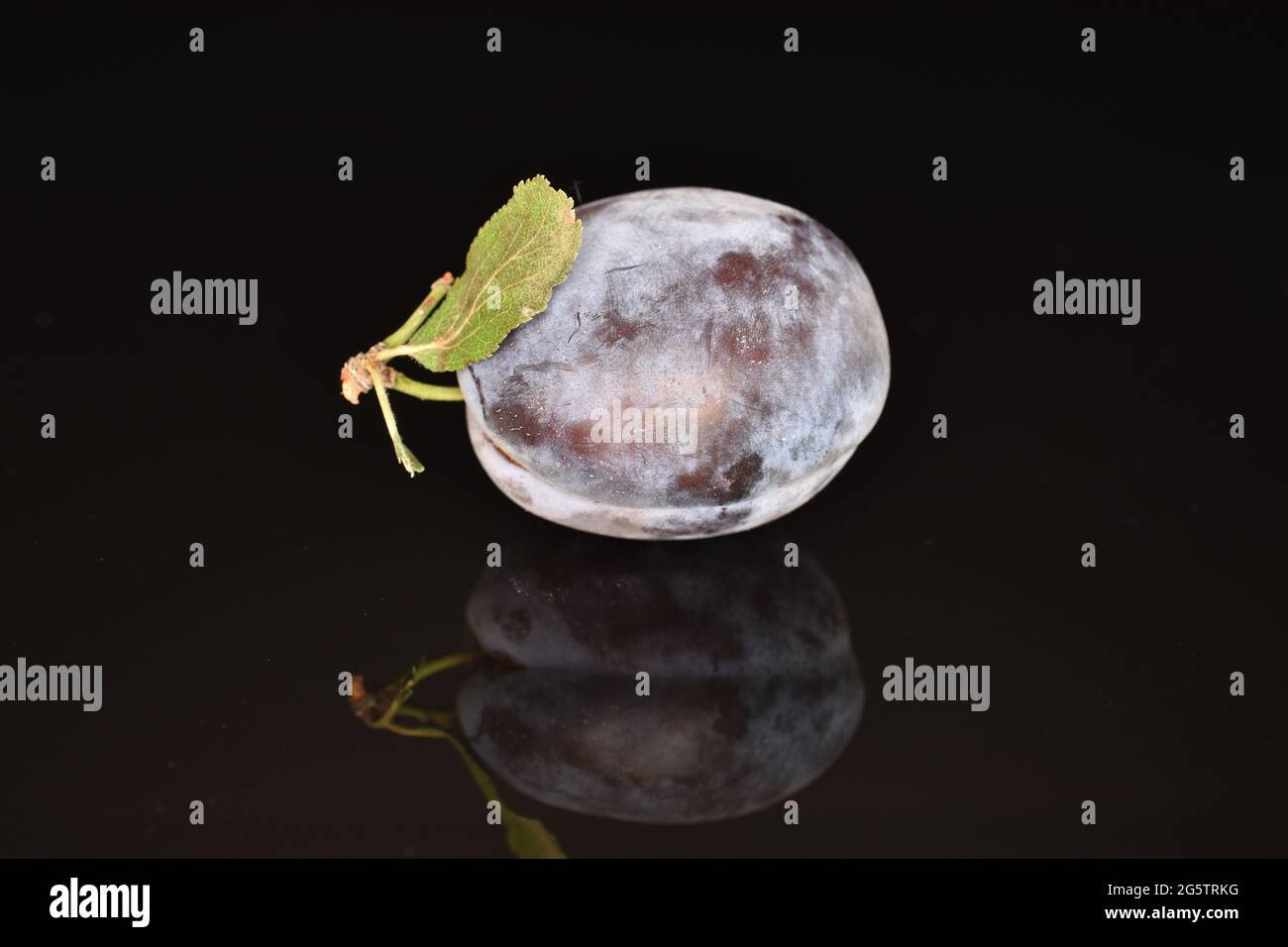 Plum violet hi-res stock photography and images - Alamy