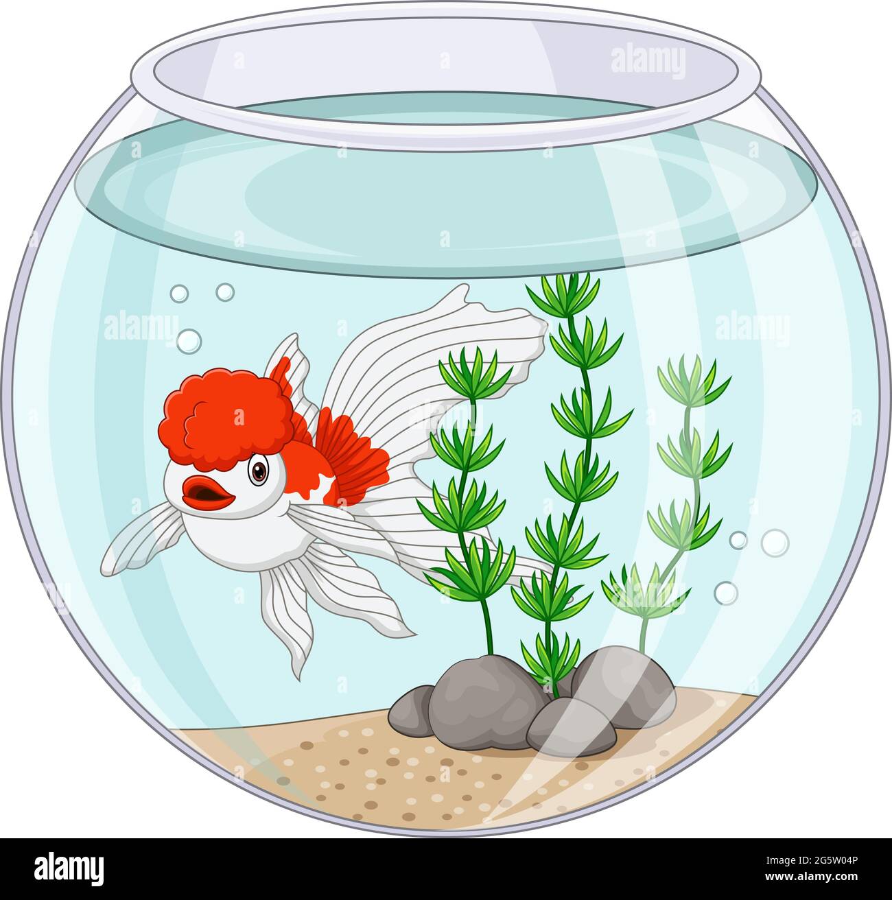 Cartoon oranda goldfish swimming in fishbowl Stock Vector