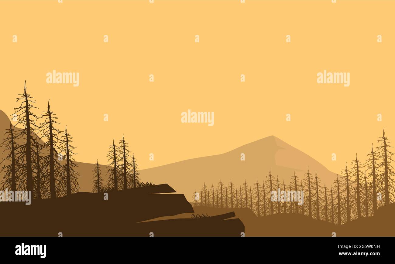 Aesthetic silhouette view of mountains with pine trees from the edge of ...