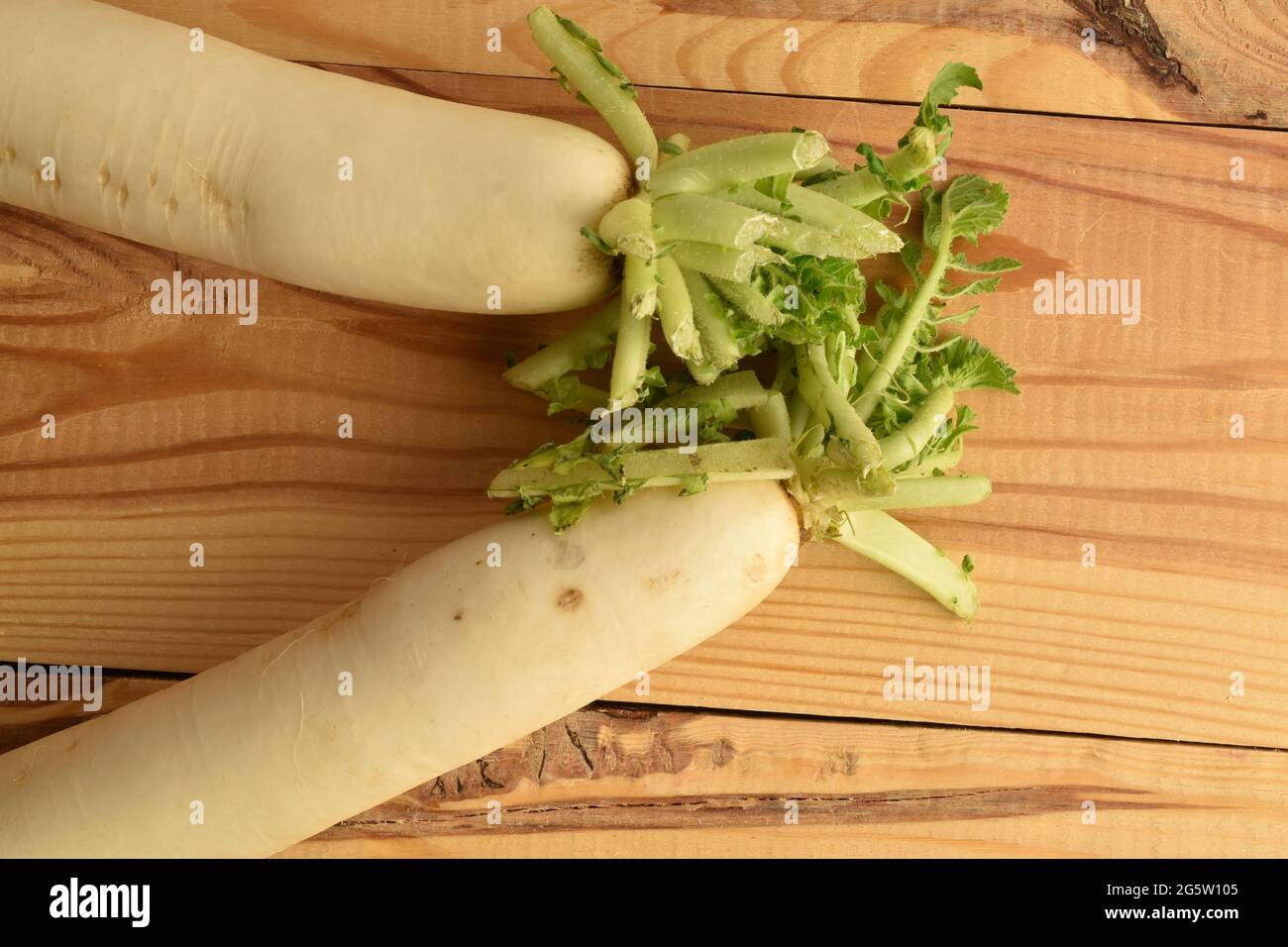Two ripe organic radishes, close-up, on a wooden table, top view. Stock Photo