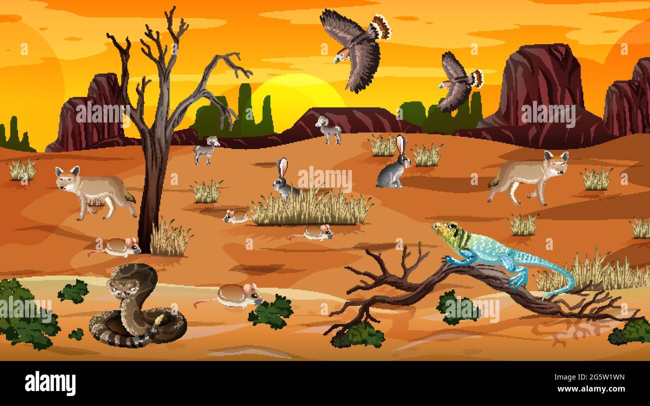 Desert forest landscape at sunset time scene with wild animals ...