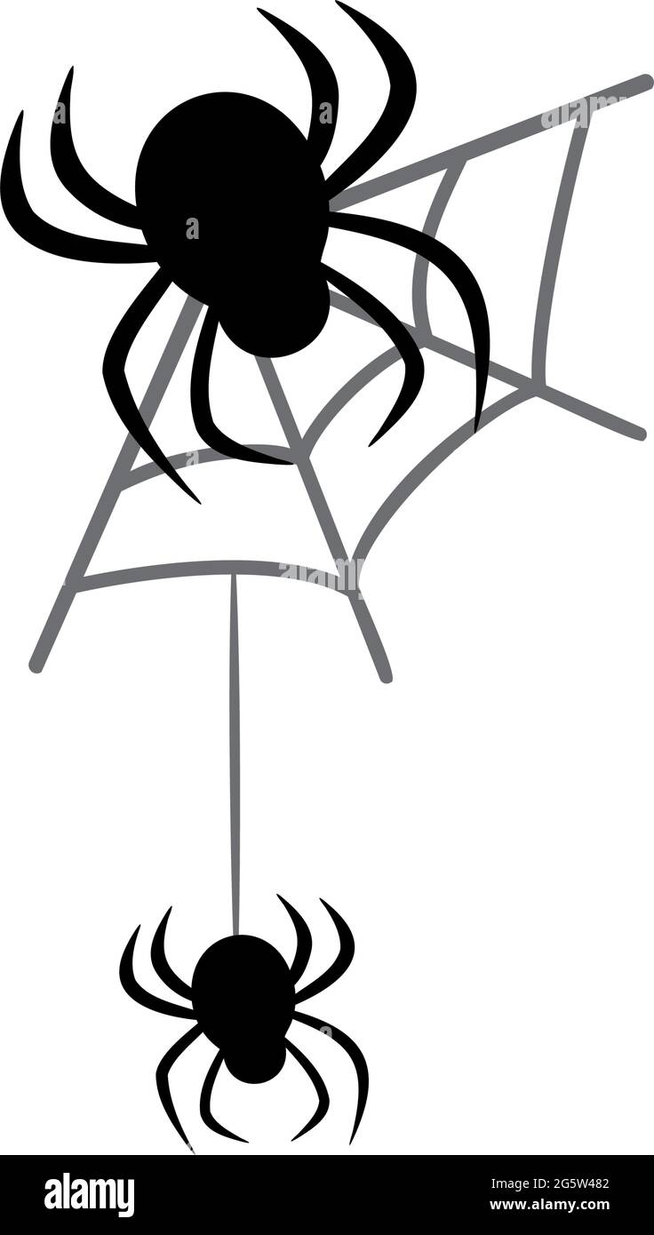 Spiders hang from the cobweb Stock Vector