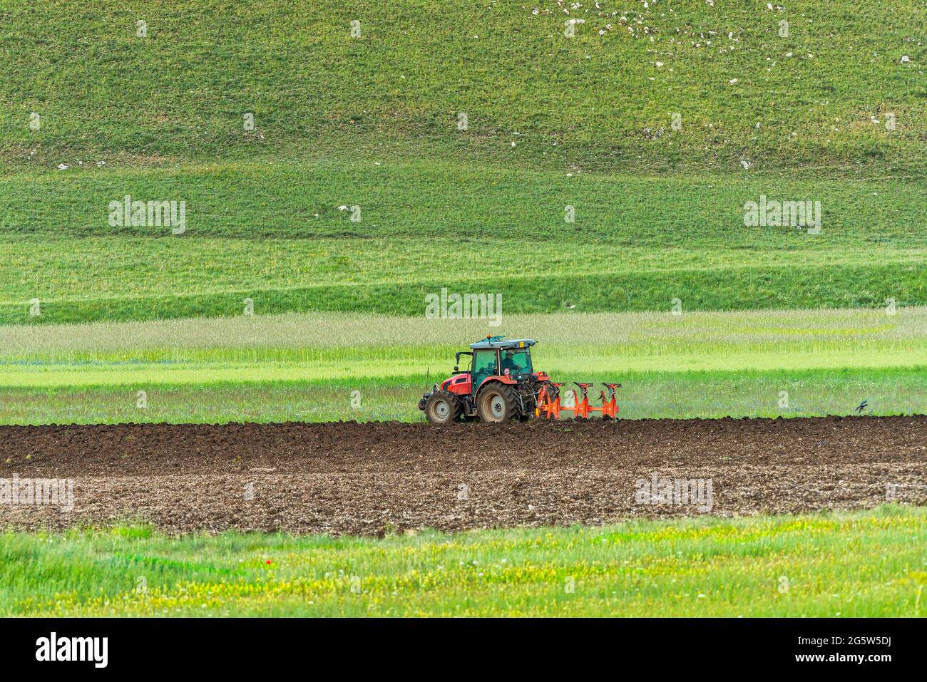Tractor works the land in preparation for planting. Cultivation in the mountains. Abruzzo, Italy, Europe Stock Photo