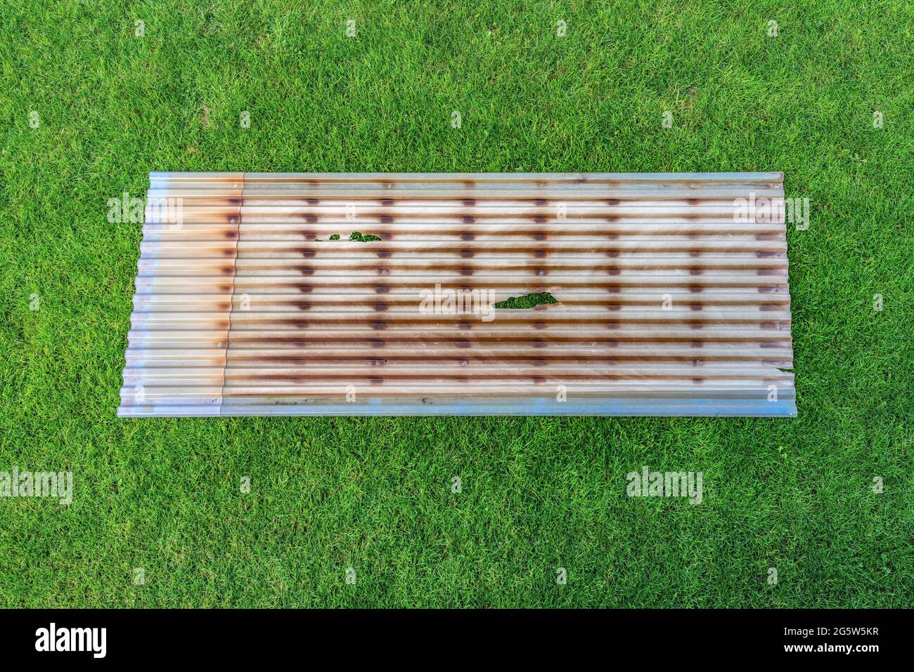 Transparent dirty and old plastic roof sheet is broken after many season on fresh green grass lawn, corrugated plastic roof sheet. Older plastic waste Stock Photo