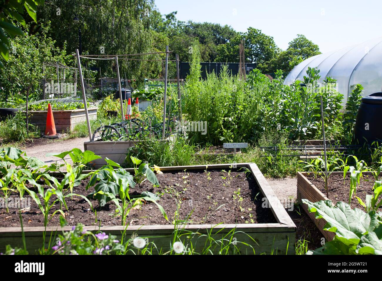 Most common plants hires stock photography and images Alamy