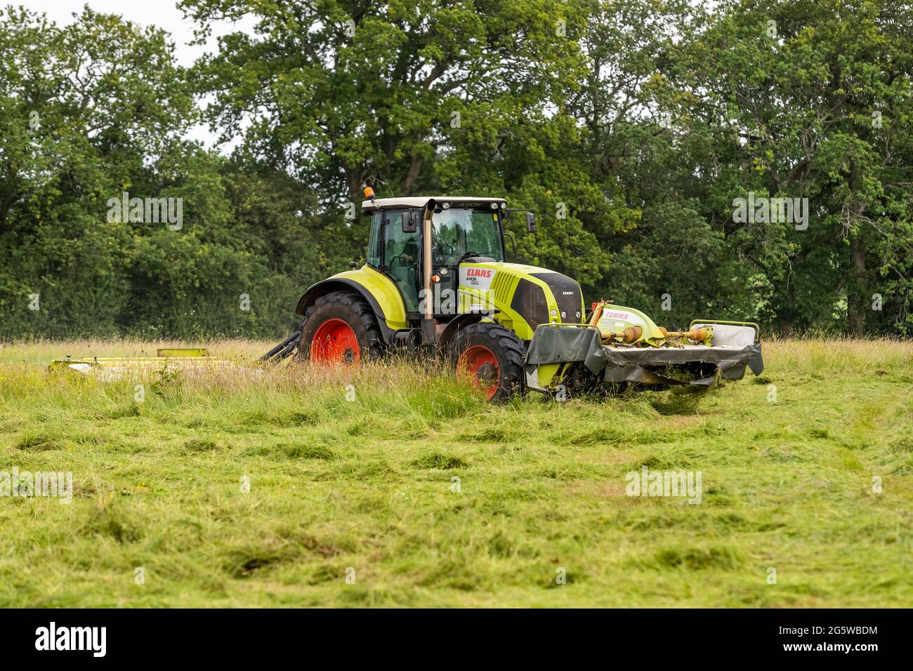 Summer grass cutting, Forest of Dean. CLAAS 820 Axion tractor and cutters. Stock Photo