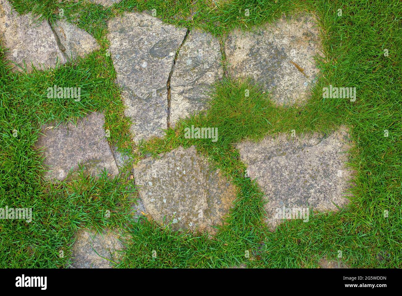 Landscaping of the garden with a path of individual palettes on the lawn there are natural stone along which to walk and go to the house on summer gre Stock Photo