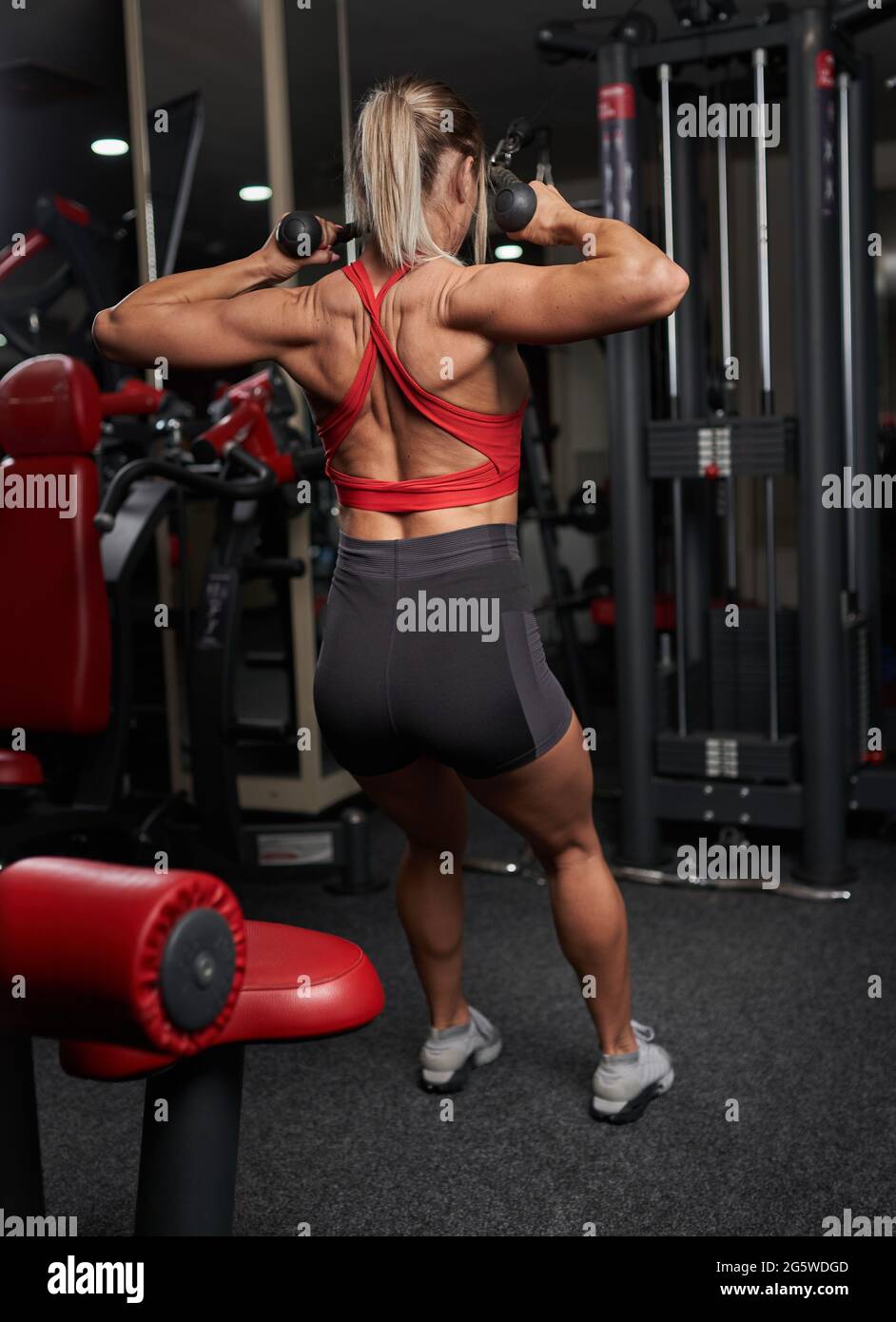 young fitness woman alamy stock photo young fitness woman alamy stock photo