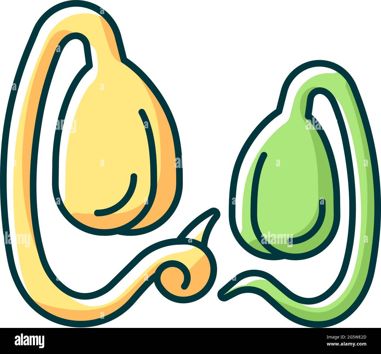 Soy sprouts RGB color icon Stock Vector
