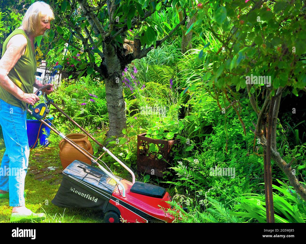 Fortuneswell. 30th June 2021. UK Weather. Sandra, 68, gets a head start on her gardening chores, mowing the lawn in her Fortuneswell garden in the early morning sunshine. Credit: stuart fretwell/Alamy Live News Stock Photo