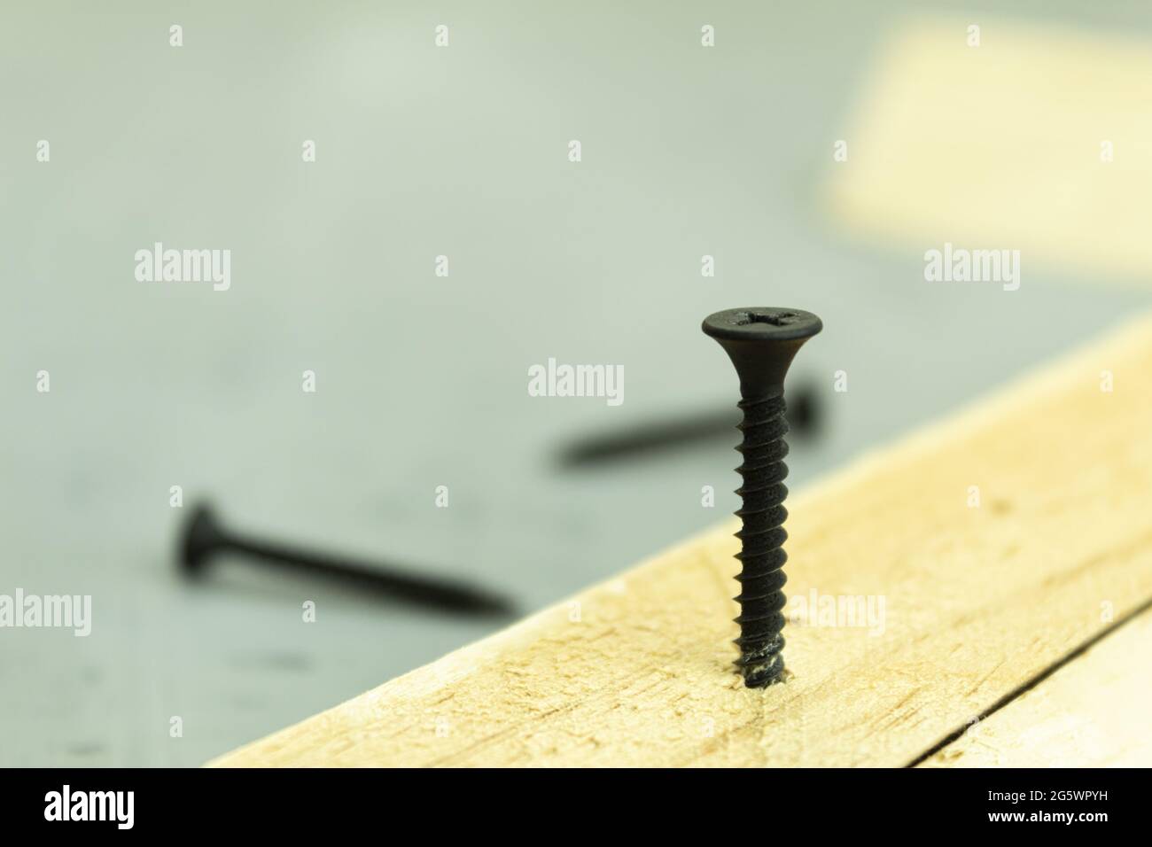 A black screw is screwed into the board. Carpenter's work process, self