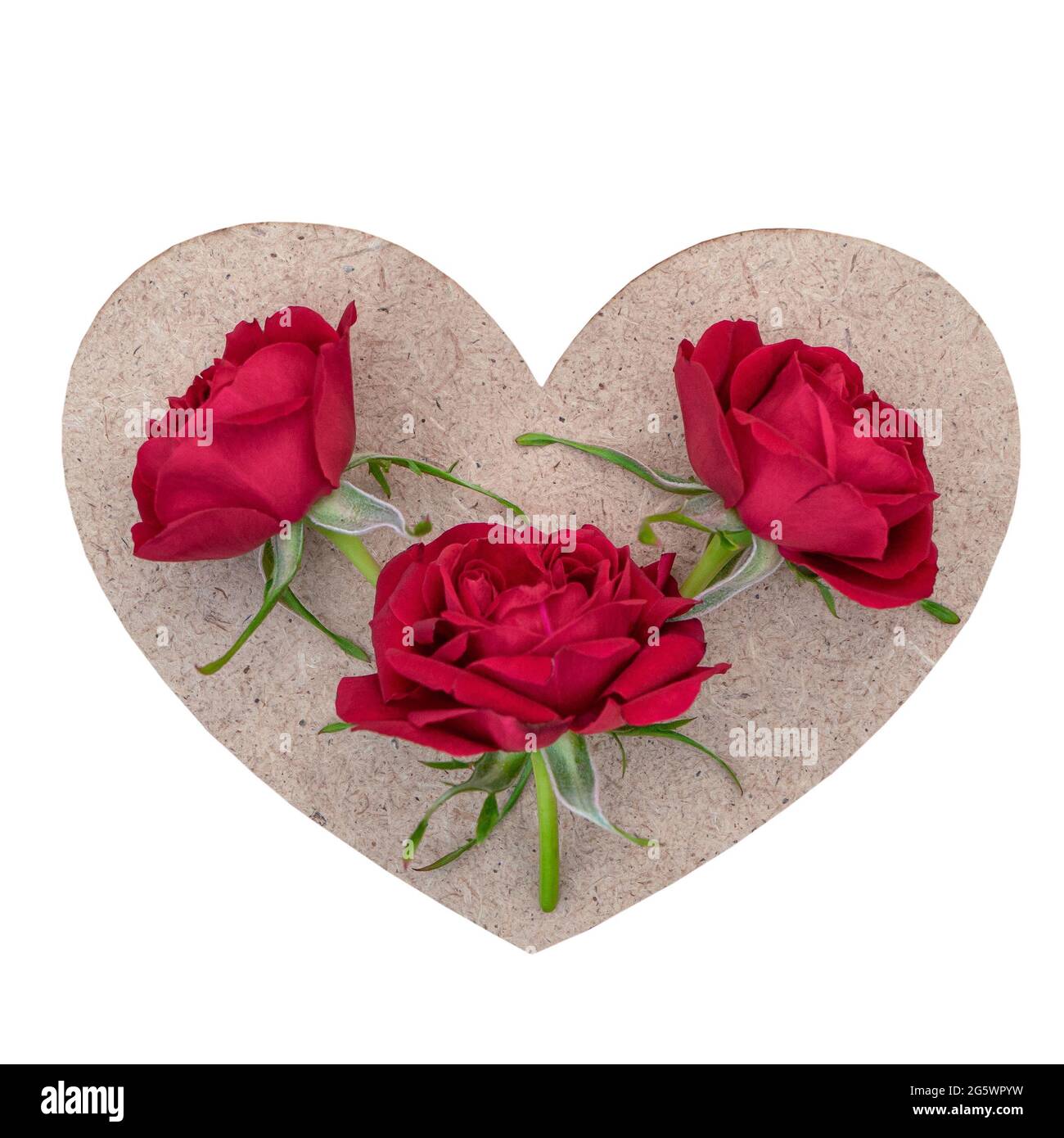 Heart with red roses isolated on a white background. Stock Photo
