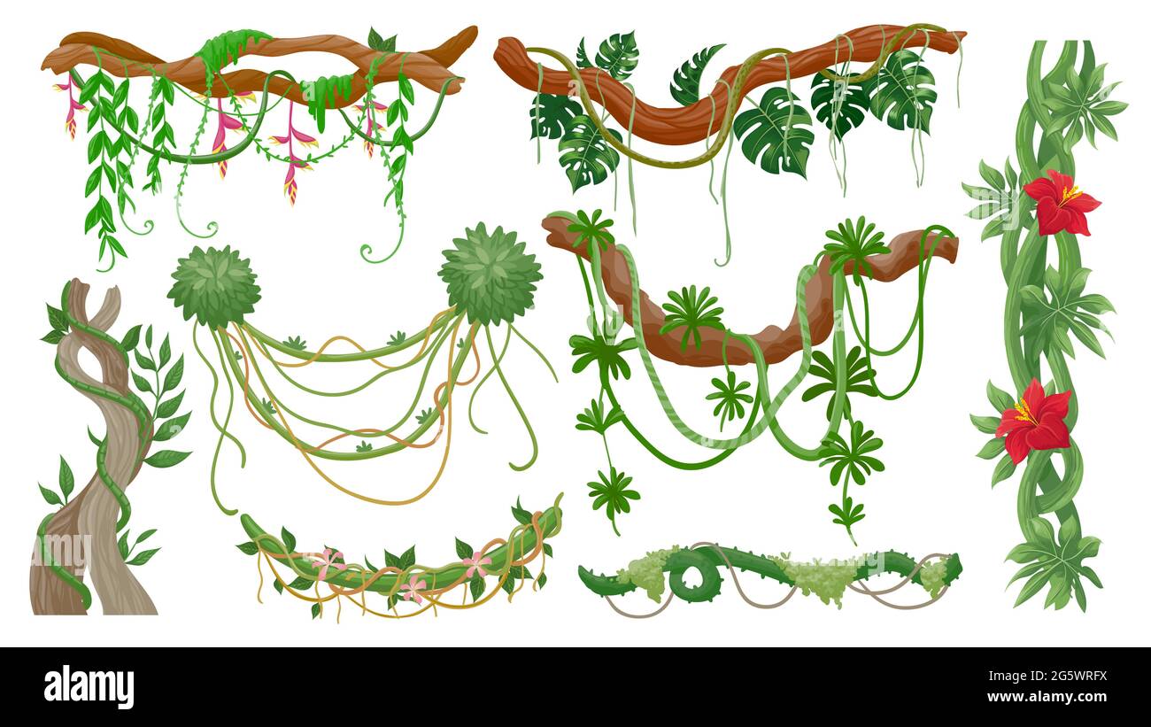 Jungle vines. Tropical tree branches with hanging liana ropes, green moss, exotic plant leaves and flower. Rainforest flora, vine vector set Stock Vector