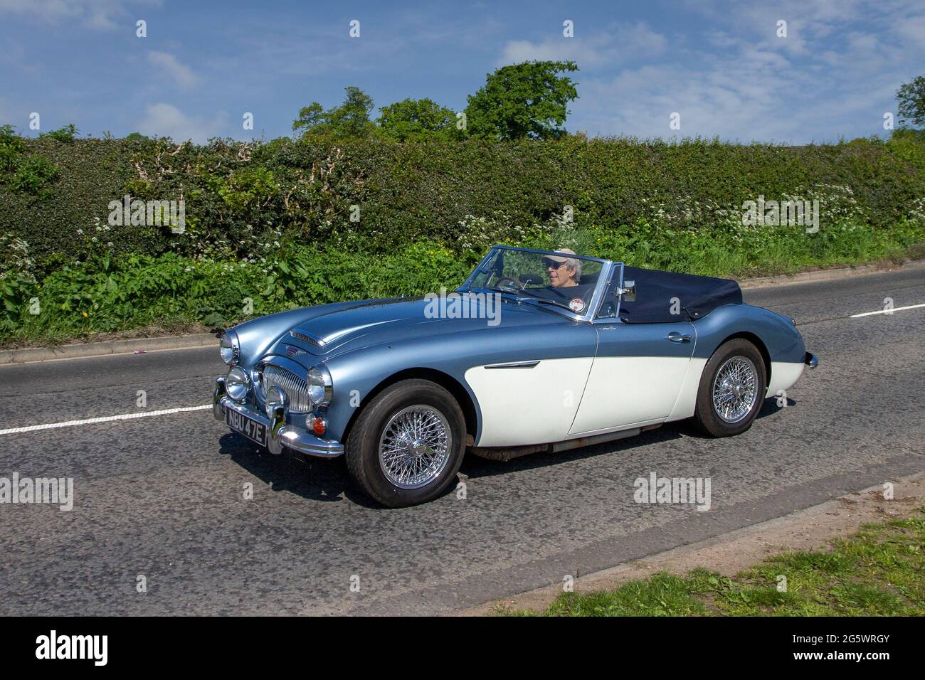 1967 60s blue white Austin Healey, 3000cc petrol cabrio, en-route to Capesthorne Hall classic May car show, Cheshire, UK Stock Photo