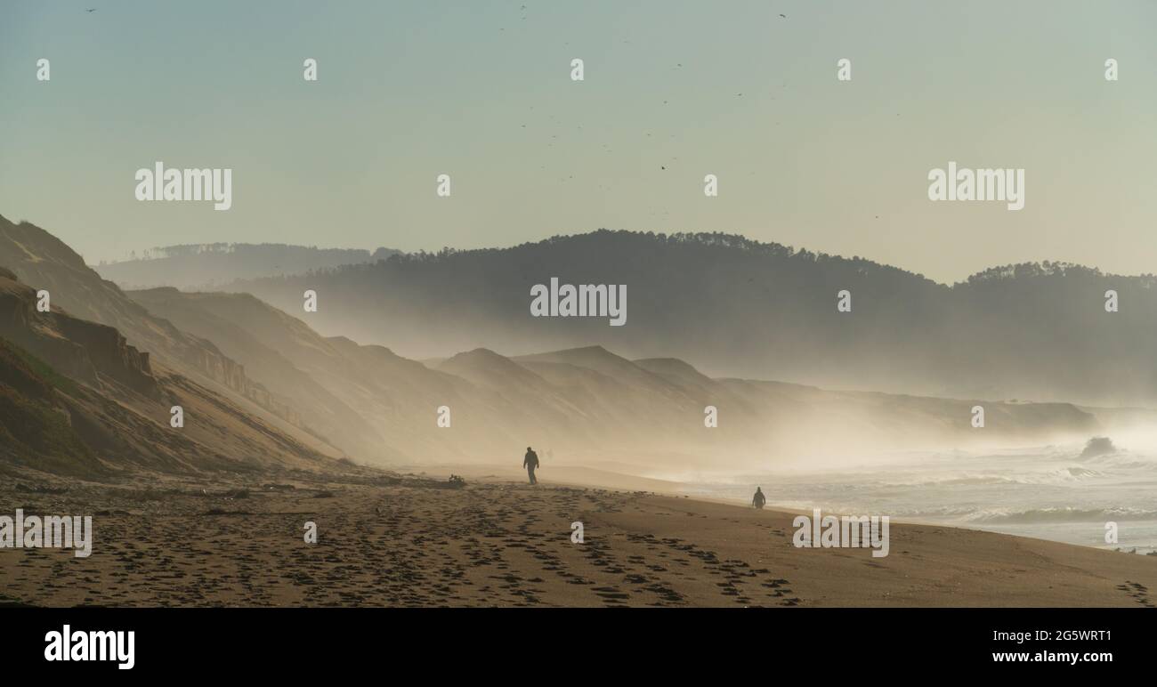 Fort Ord Dunes State Park Stock Photo Alamy