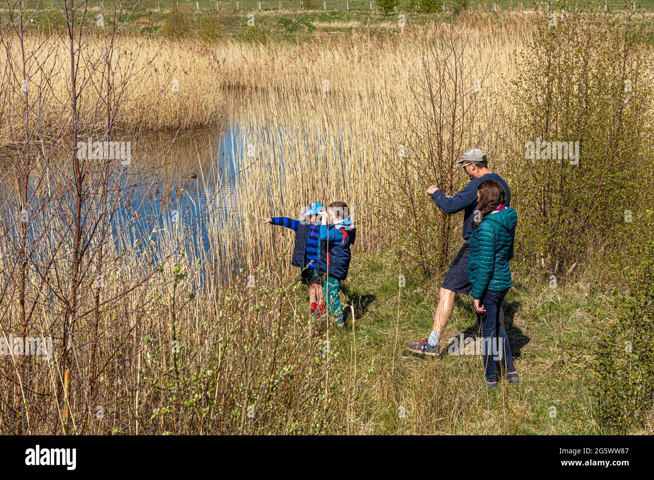 A family enjoying looking for wildfowl in the reedbeds at St Aidans RSPB Nature Reserve near Castleford, West Yorkshire UK Stock Photo