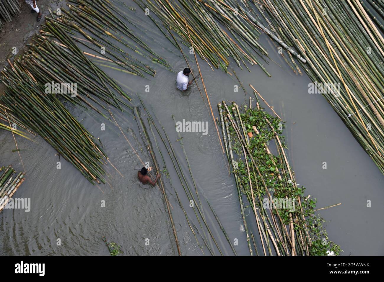 Bamboo sticks are seen on a Bamboo market in Bangladesh, on 30 June 2021 Stock Photo Alamy