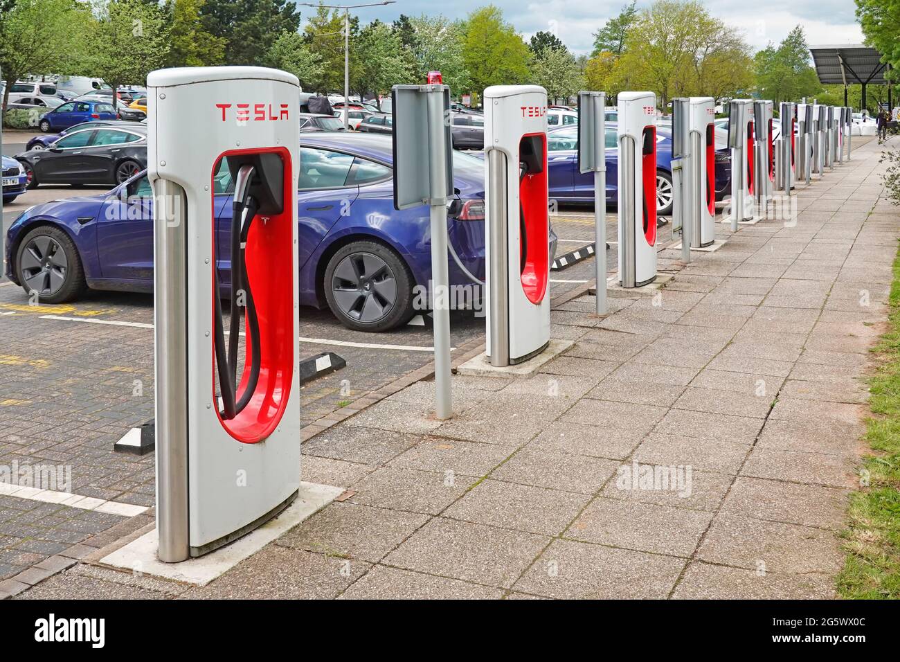 Climate change friendly electric cars connected row of Tesla stall parking bay Welcome Break car facility M42 motorway service station Birmingham UK Stock Photo