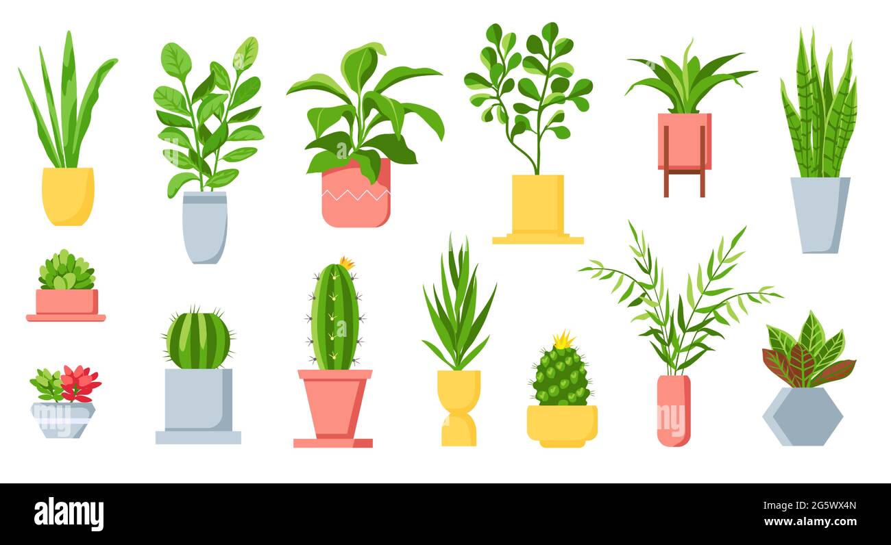 Pot plants. House tropical leaves, tree, succulents and cactus. Urban jungle, home green garden in flowerpots. Cartoon houseplant vector set Stock Vector